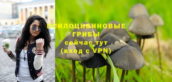 MESCALINE Арсеньев