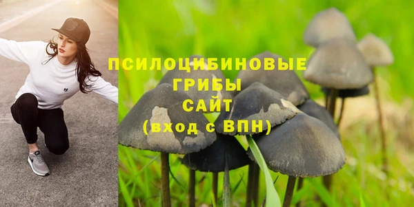 MESCALINE Арсеньев