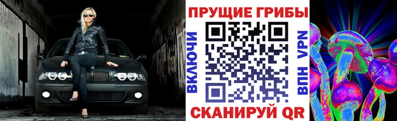 сколько стоит  Сорск  мориарти состав  Псилоцибиновые грибы Cubensis 