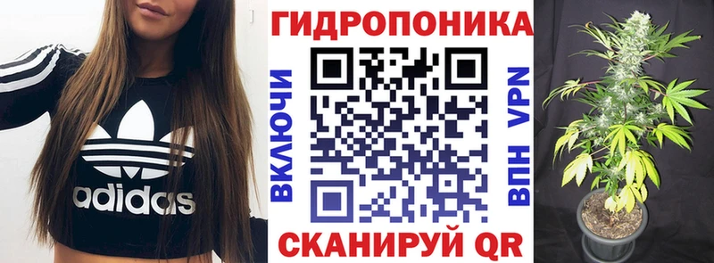МАРИХУАНА план  Сорск 